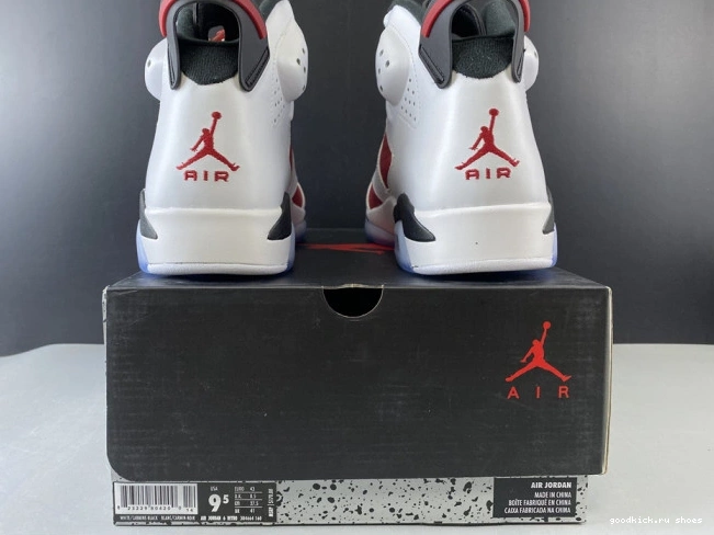 Rep RETRO 6 AIR 384664-160 2014 'CARMINE' JORDAN 0729